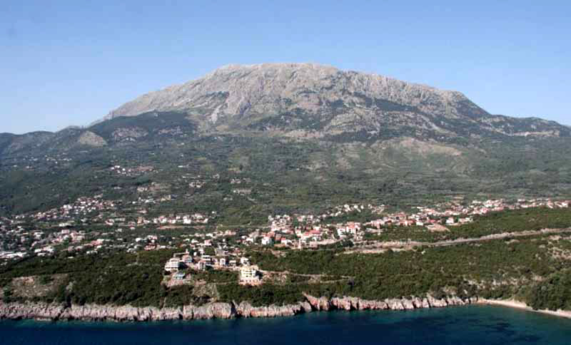 newest-news-post-image